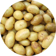 patates2