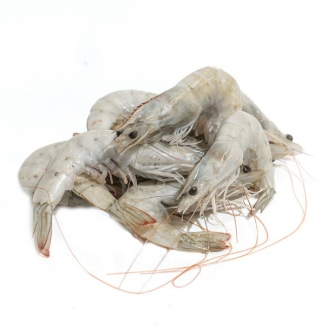 VANAMEI 20/30(0%)ΓΑΡΙΔΕΣ(4kg)