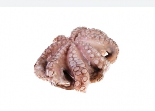 PESCANOVA ΙΝΔΟΕΙΡΗΝΙΚΟΥ ΧΤΑΠΟΔΙΑ 2-3kg.