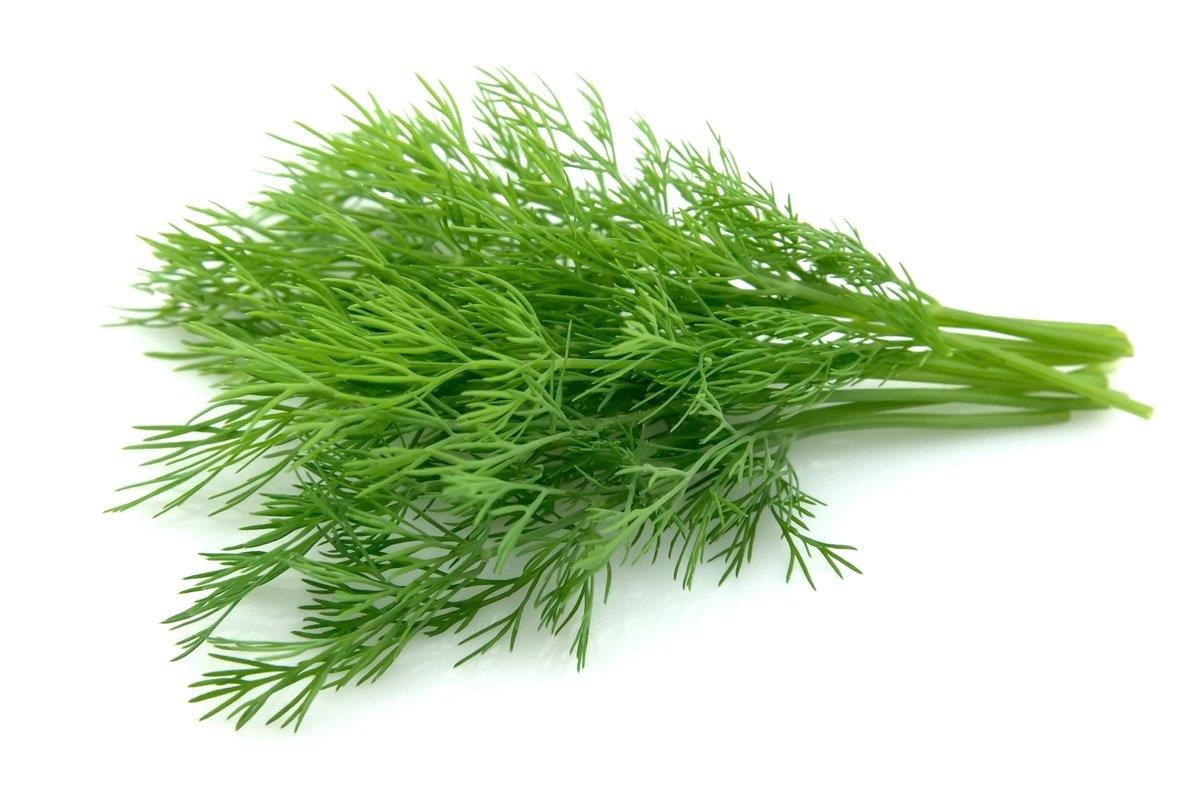 ΑΝΗΘΟΣ(10kg)ΒΕΛΓΙΟΥ