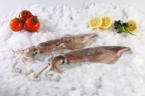 LOLIGO 200/300 ΚΑΛ.(5kg)ΟΛΟΚΛ.