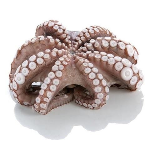 ΟΜΗΡΟΣ(Τ3)ΧΤΑΠΟΔΙ (2-3kg)