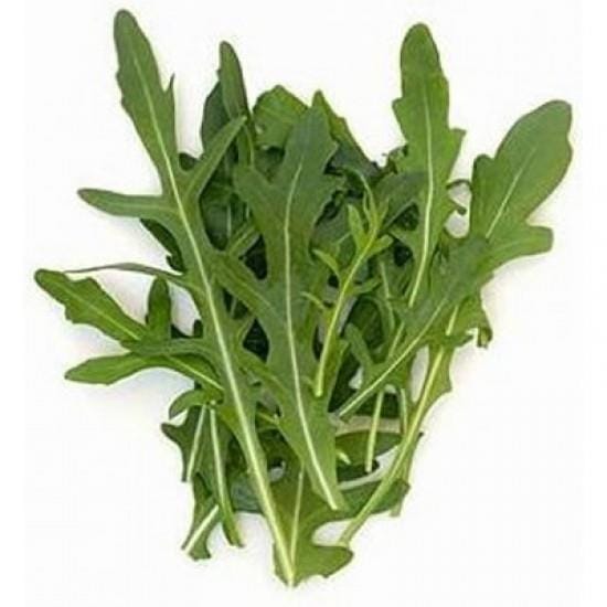 ΡΑΔΙΚΙ ΧΥΜΑ(8kg)